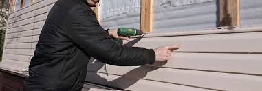 Best Vinyl Siding Installation  in Ruskin, FL